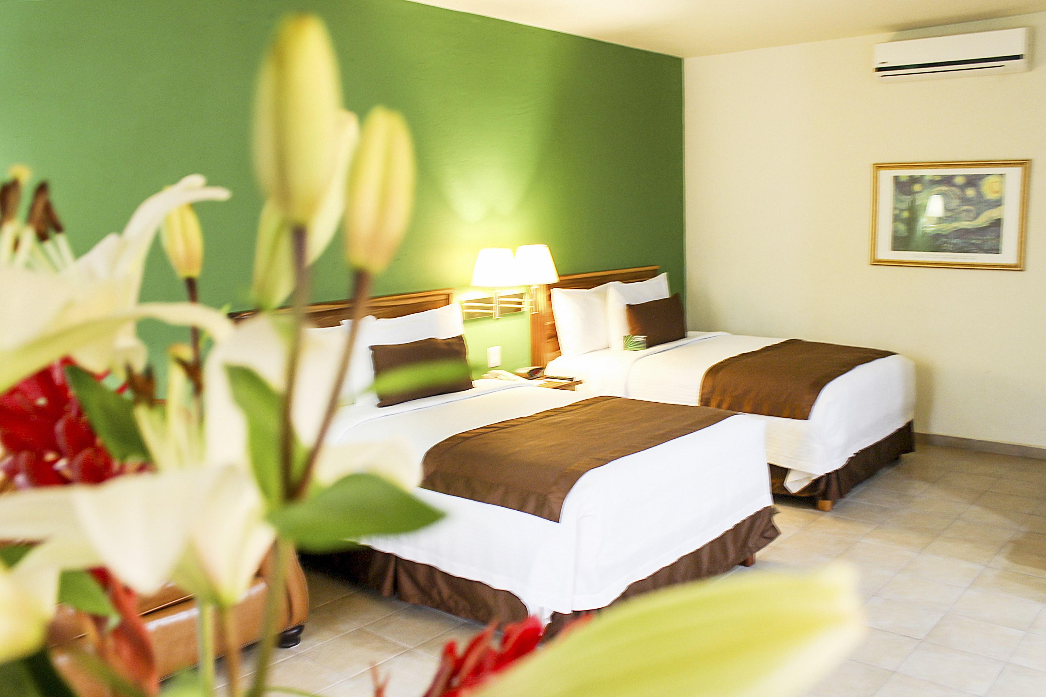Comfort Inn Tampico Extérieur photo